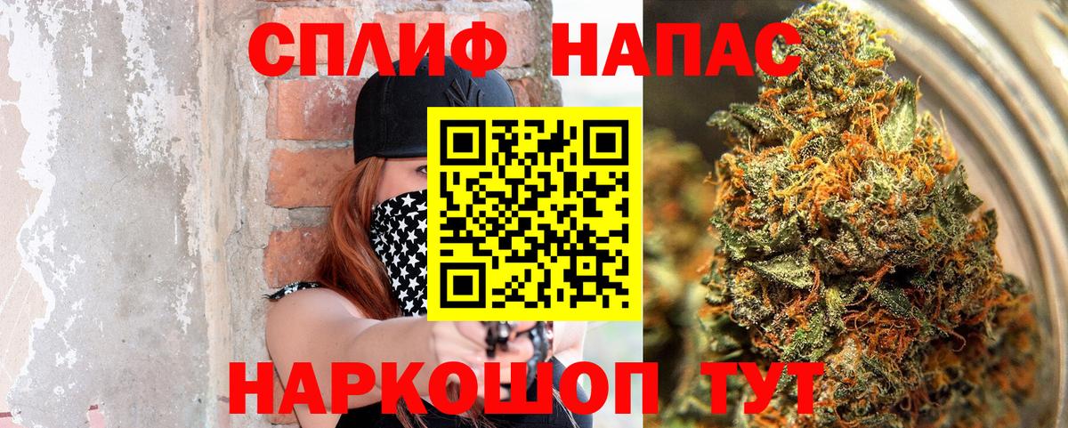 Конопля гибрид Муравленко